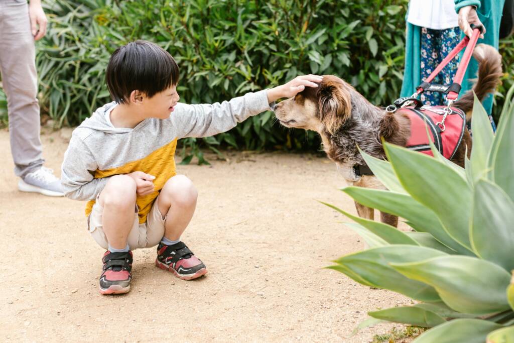 Smiling child petting a dog outdoors, highlighting companionship and joy.